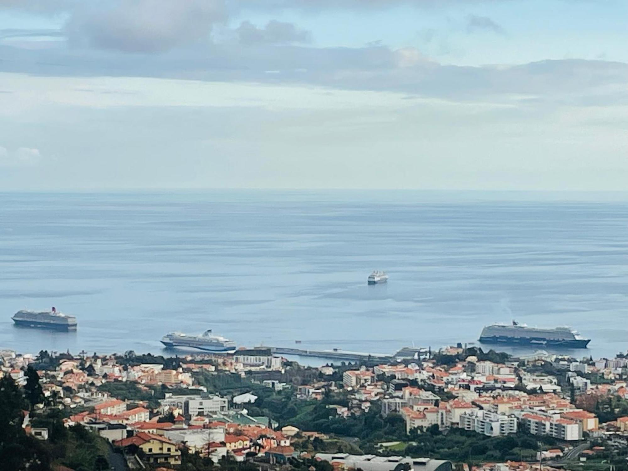 Cozy House Otel Funchal Dış mekan fotoğraf