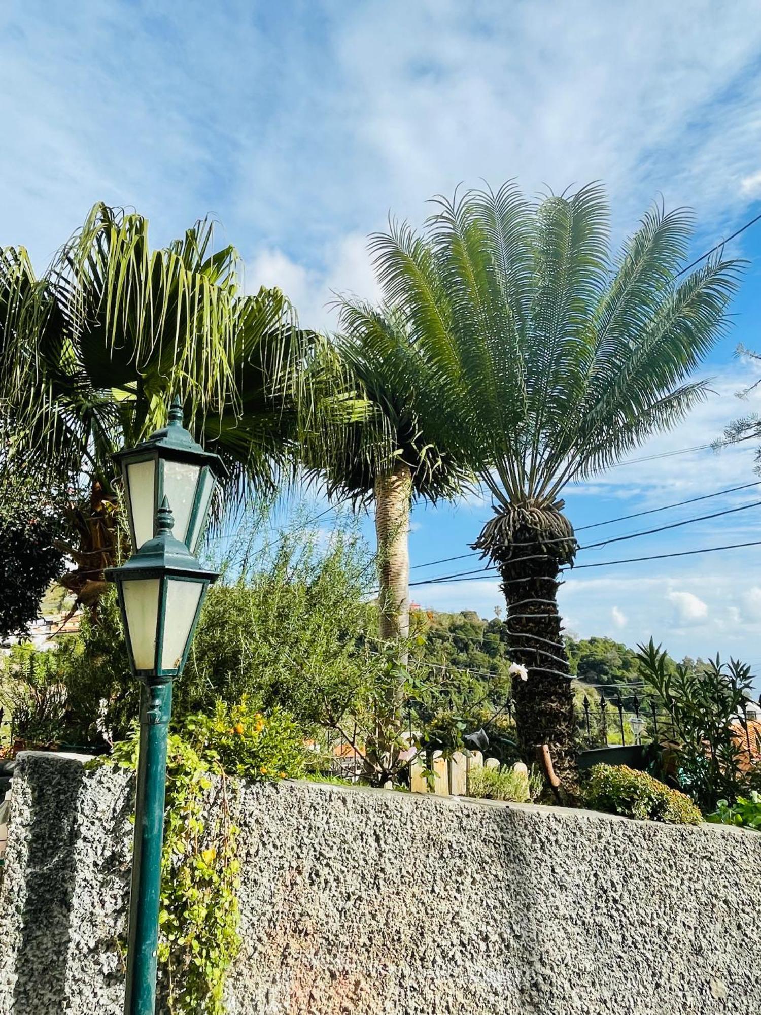 Cozy House Otel Funchal Dış mekan fotoğraf