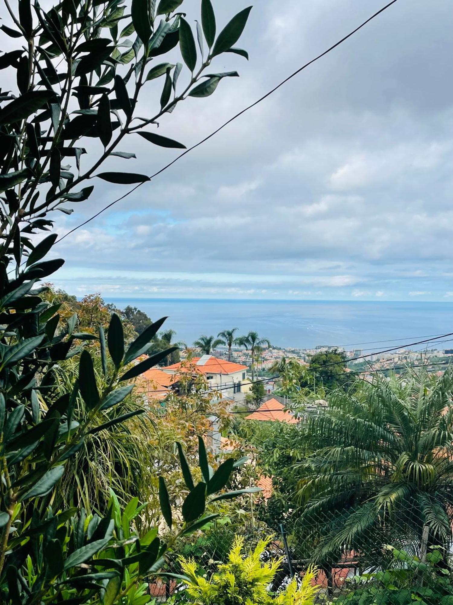 Cozy House Otel Funchal Dış mekan fotoğraf