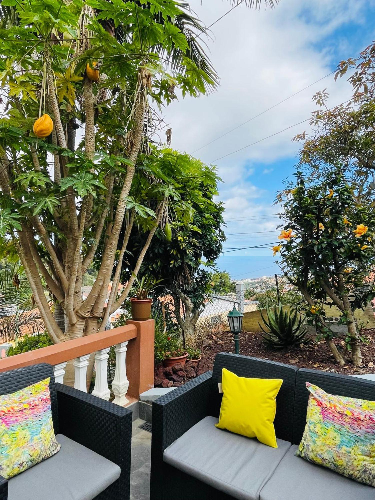 Cozy House Otel Funchal Dış mekan fotoğraf