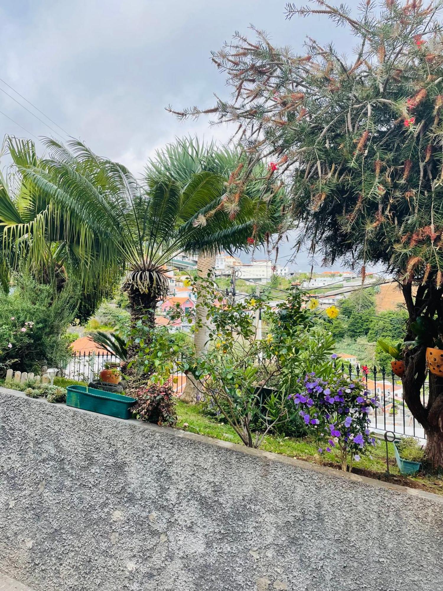 Cozy House Otel Funchal Dış mekan fotoğraf