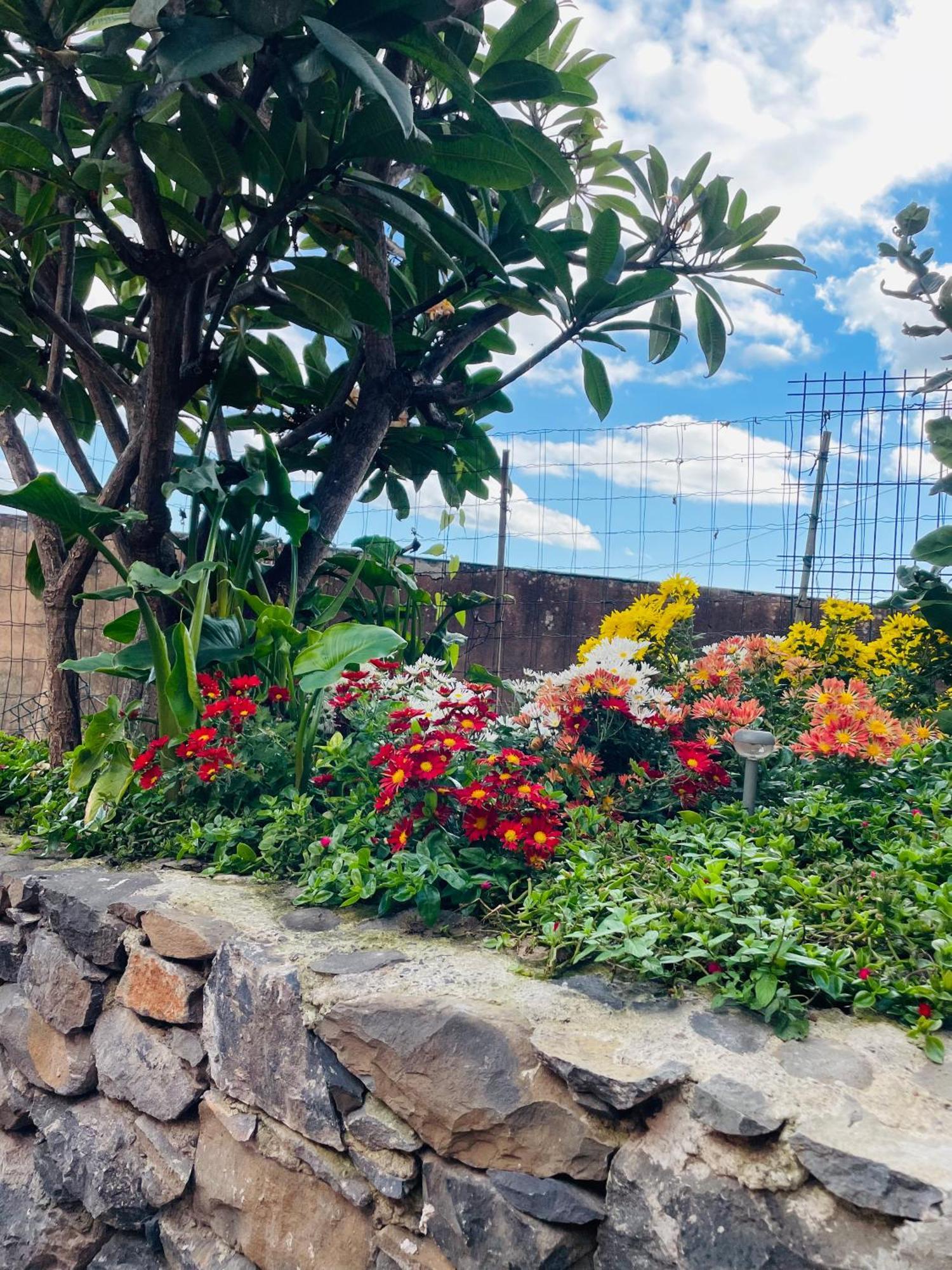 Cozy House Otel Funchal Dış mekan fotoğraf