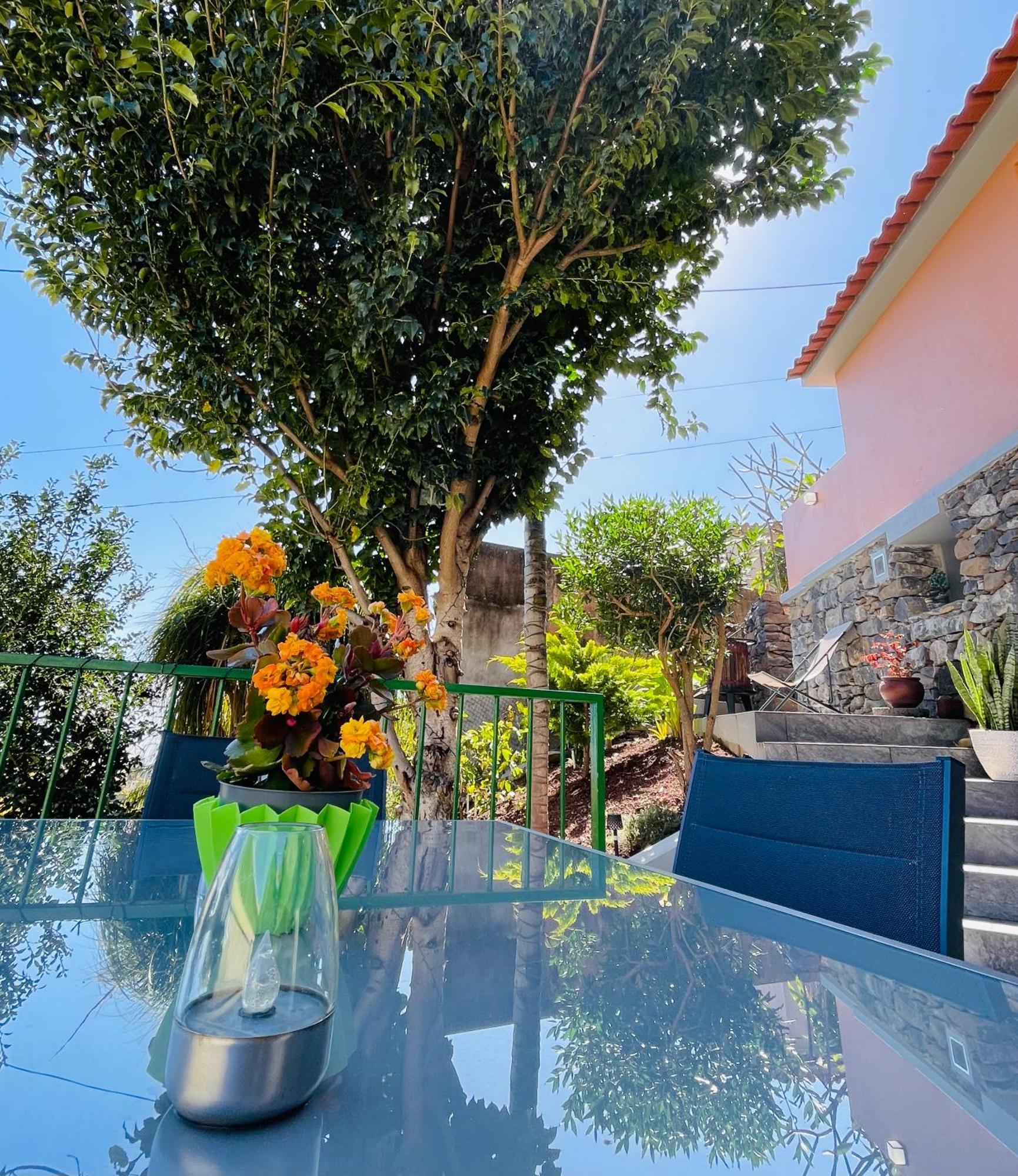 Cozy House Otel Funchal Dış mekan fotoğraf
